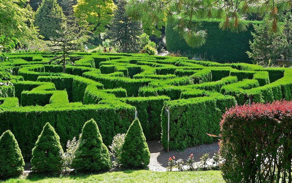 a forest maze at the van dusen gardens in vancouver canada