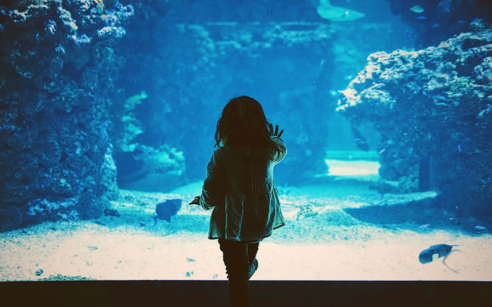 A girl watches the fish at an Aquarium