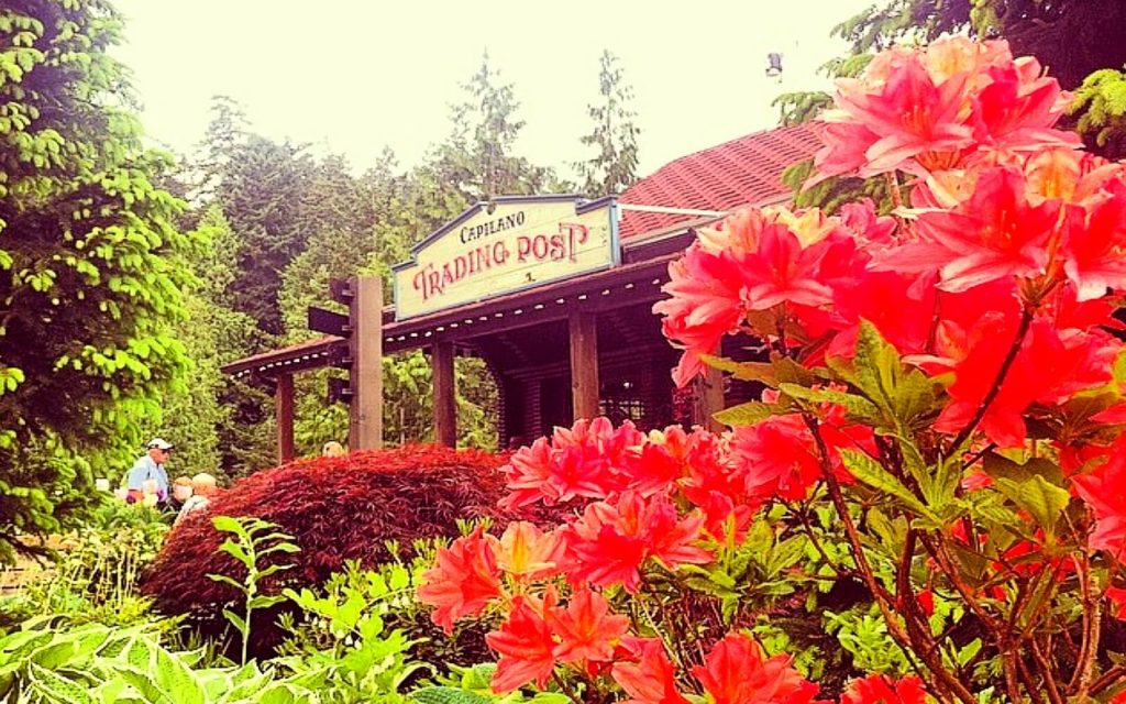 Do Capilano Suspension Bridge Park Like a Pro (+13 Tips) Vancouver