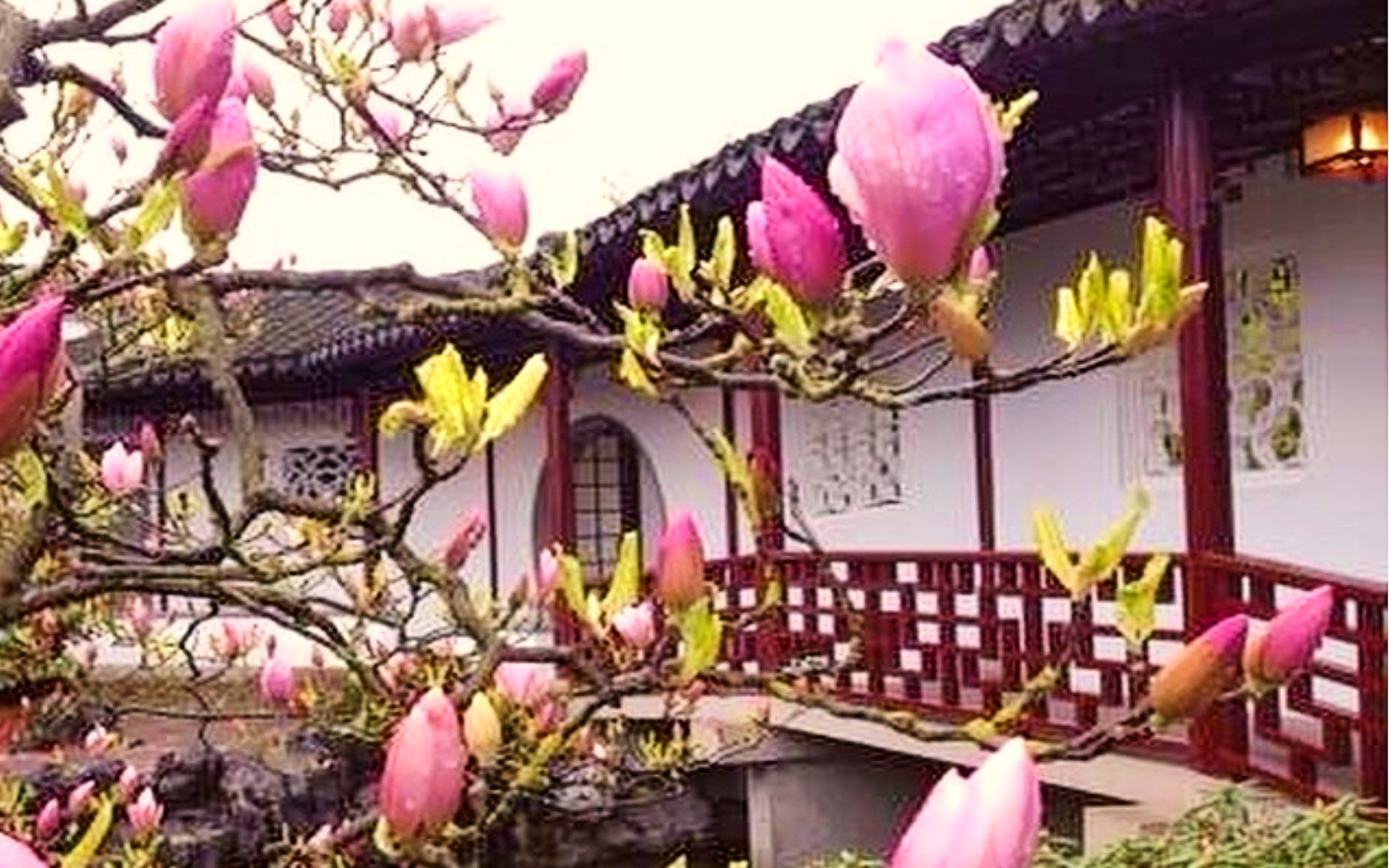 View of a building at the Dr. Sun Yat-Sen Classical Garden
