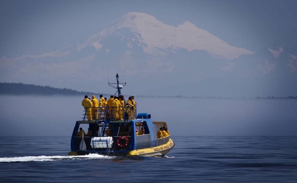 A Vancouver Whale Watch boat passes in front of Mt. Baker
