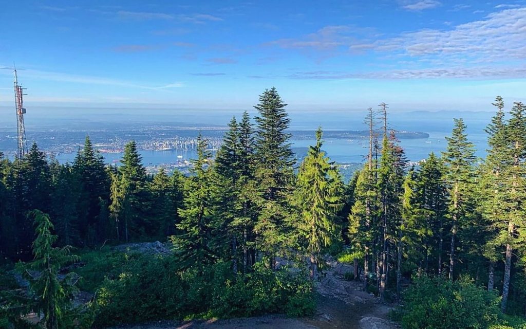 The view of Vancouver from Grouse Mountain