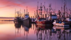 Fishing boats sit in the harbour at dusk, Steveston BC
