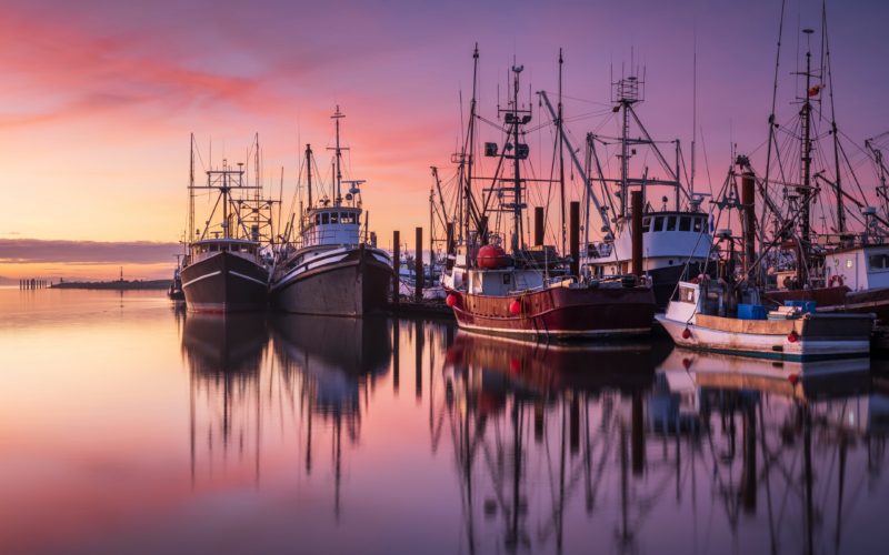 Fishing boats sit in the harbour at dusk, Steveston BC