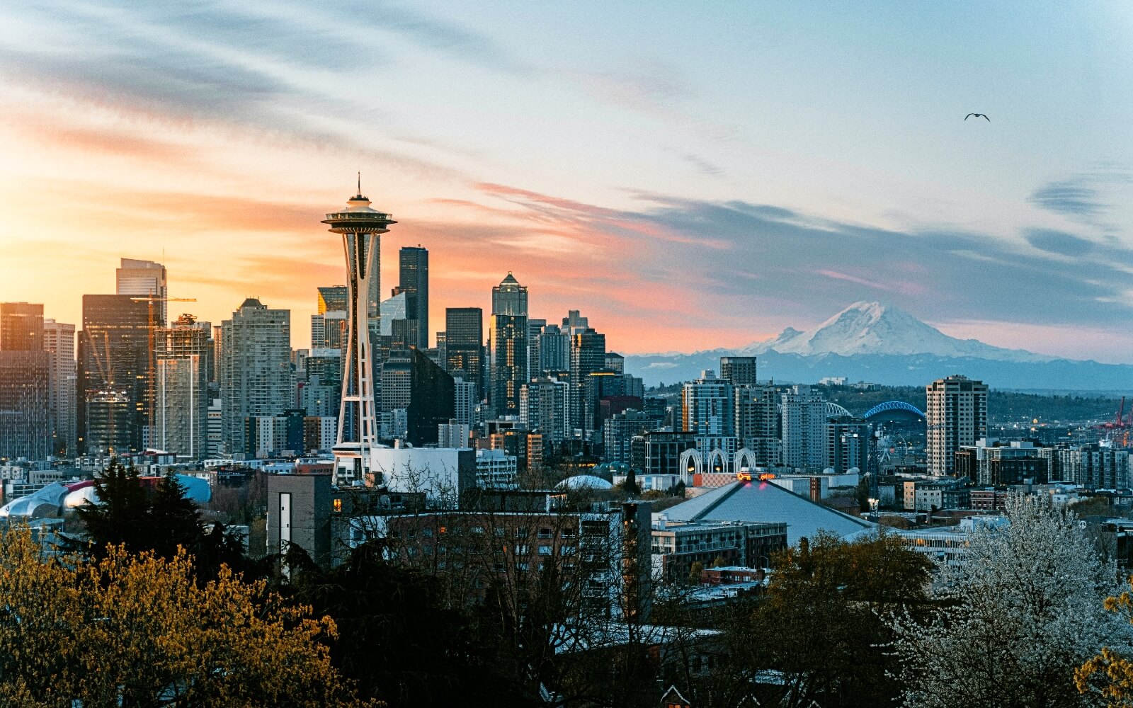 the seattle skyline with mount raineer in the background