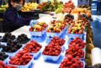 a fruit vendor puts out baskets of fruit at granville island in vancouver bc canada