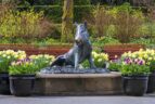The Tacca wild boar statue, Butchart Gardens
