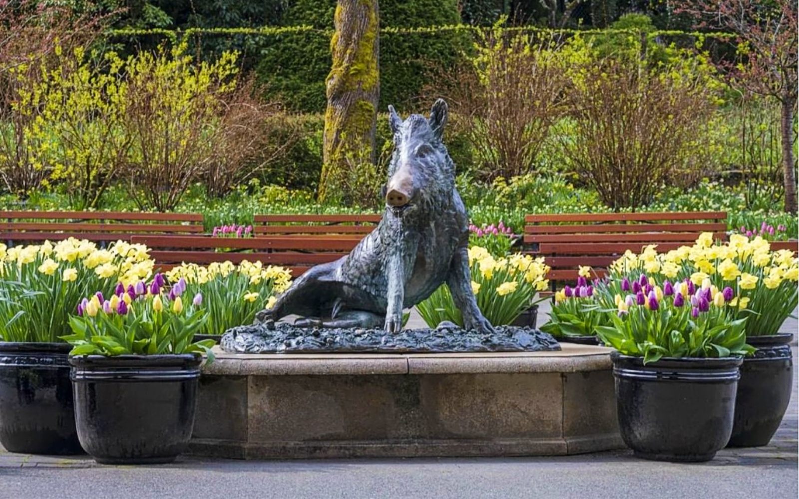 The Tacca wild boar statue, Butchart Gardens