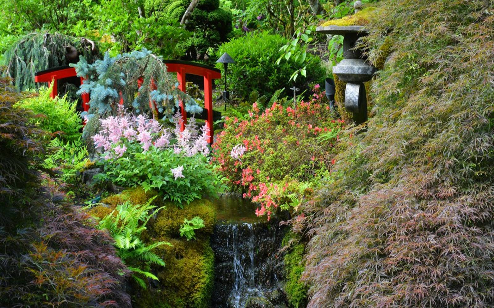 Japanese Garden, Butchart Gardens Victoria BC