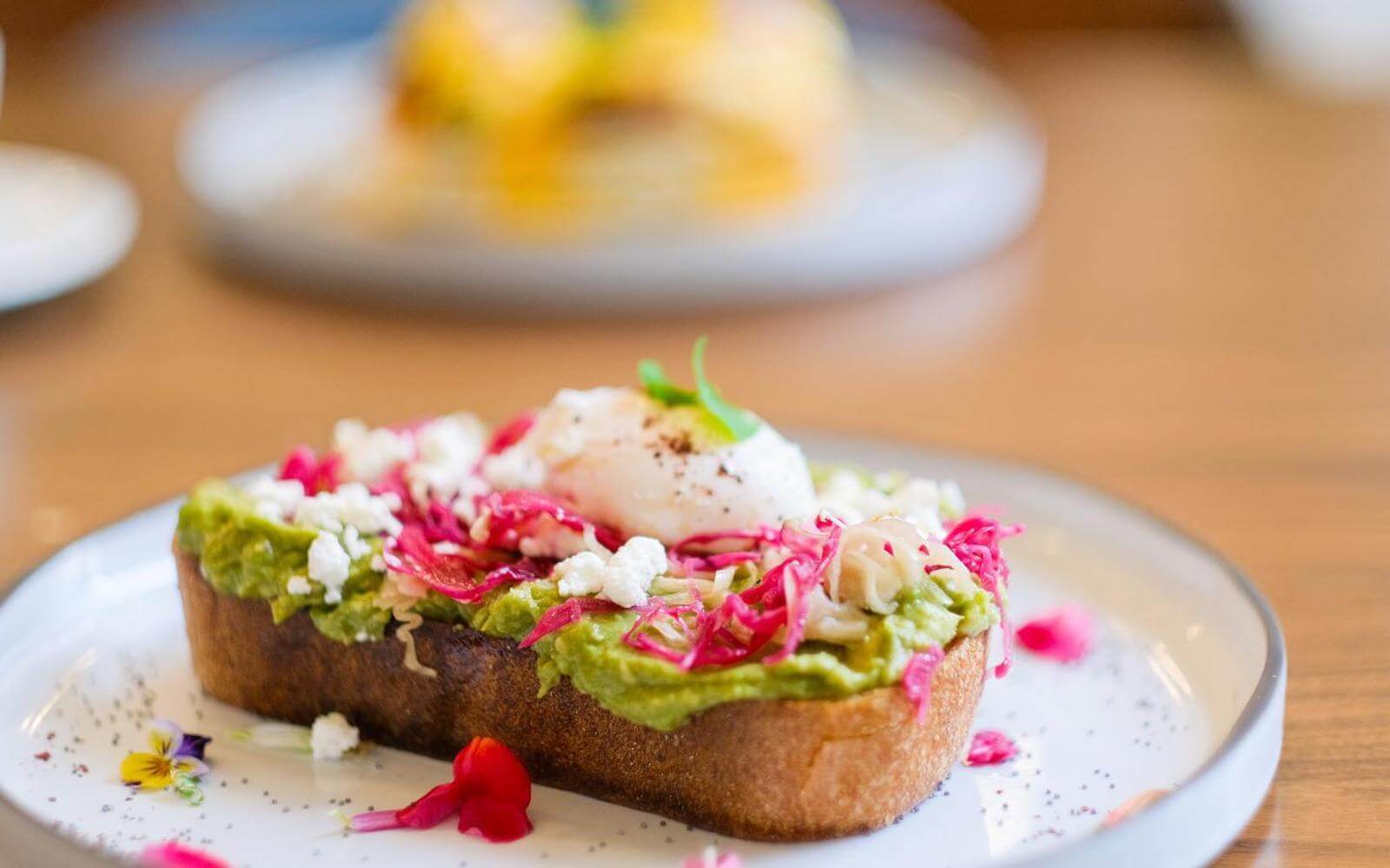 avocado toast and poached egg breakfast in vancouver bc at palate kitchen