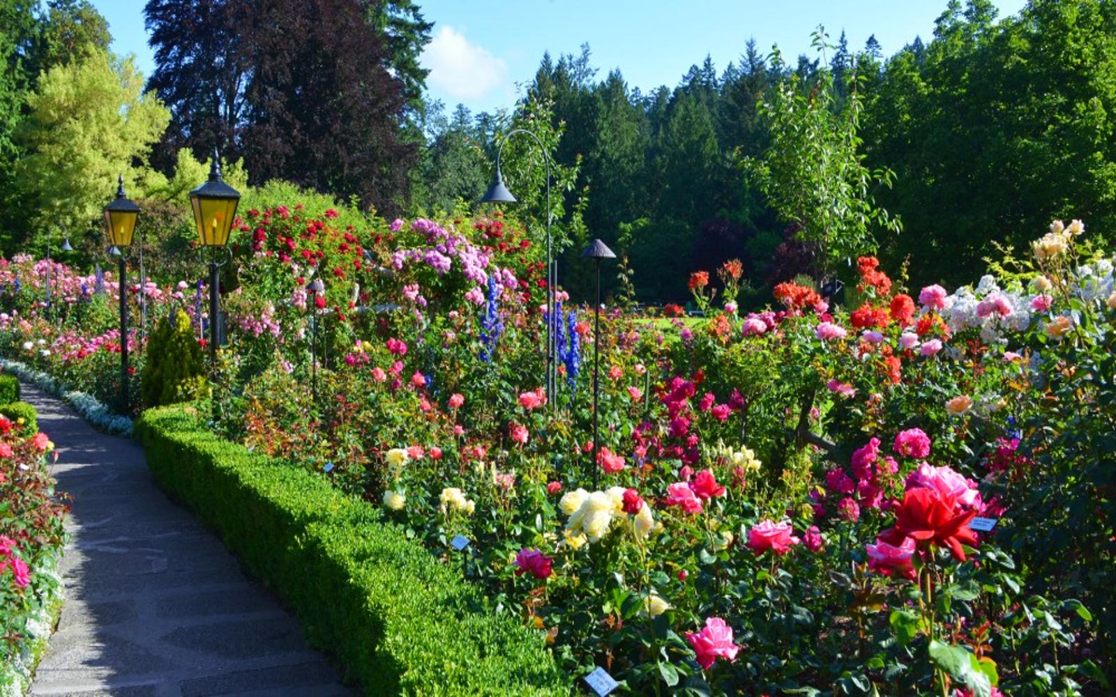 the Rose Garden, Butchart Gardens Victoria BC