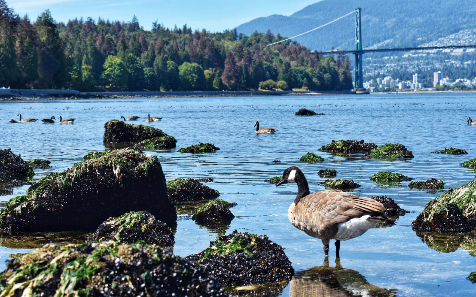 is vancouver a day trip from seattle