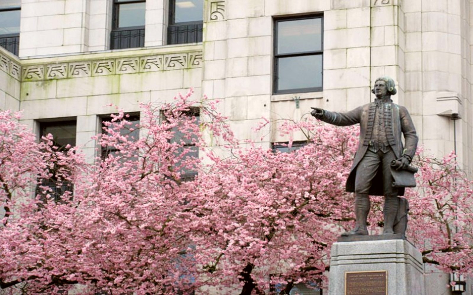 Cherry blossoms behind the Captain George Vancouver statue, Vancouver BC
