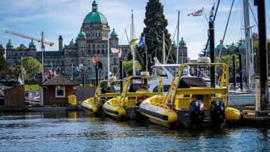 whale watching vessels ait in front of the Parliament Buildings, Victoria BC