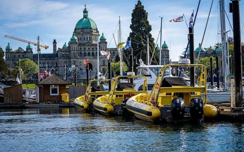 whale watching vessels ait in front of the Parliament Buildings, Victoria BC