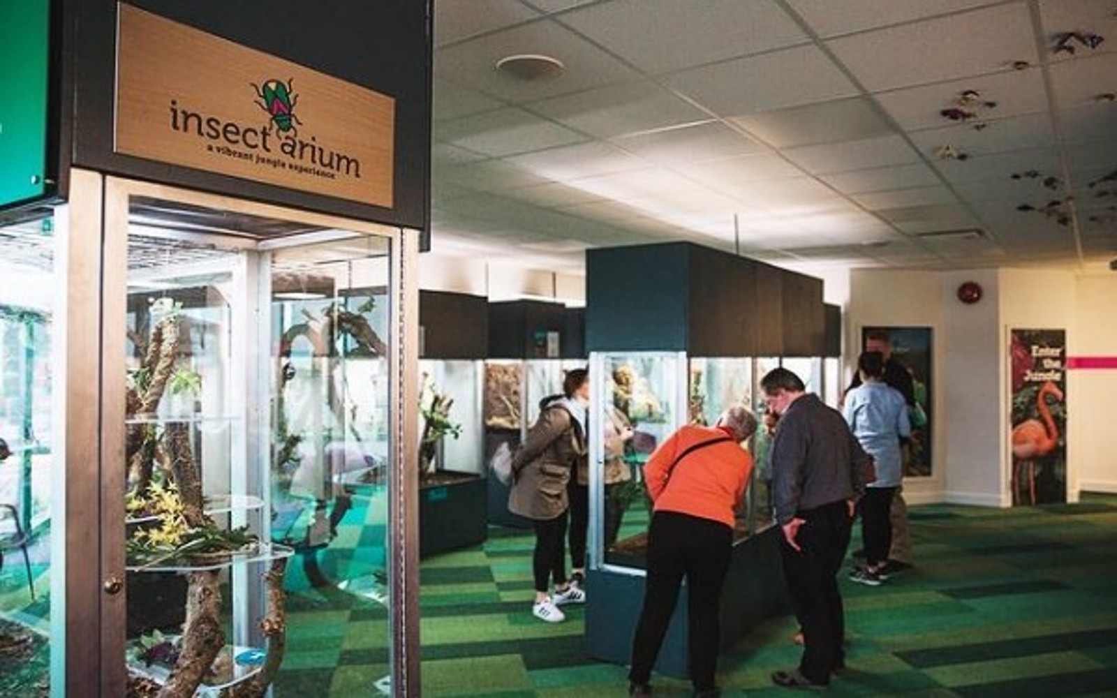 the Insectarium exhibit at Victoria Butterfly Gardens