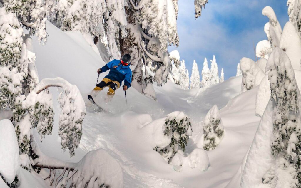 a skier barreling through powder at mount seymour ski resort in vancouver bc canada