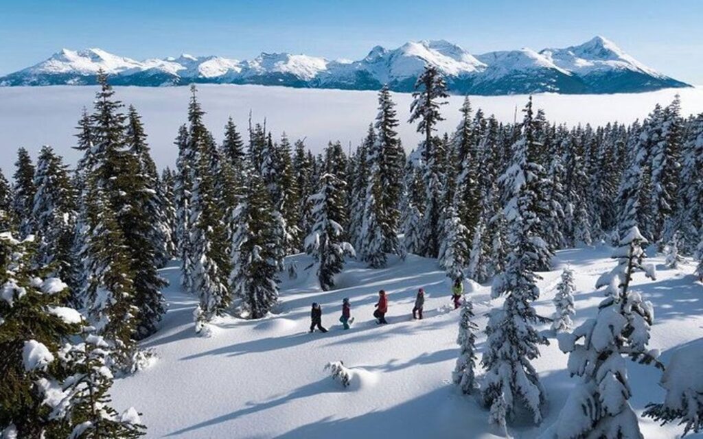 a group partakes in a whistler snowshoeing adventure.