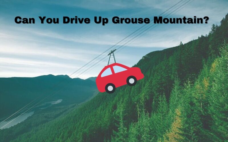 fake car driving up grouse mountain