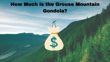 grouse mountain gondola how much money