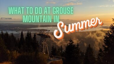 grouse mountain in summer panoramic view