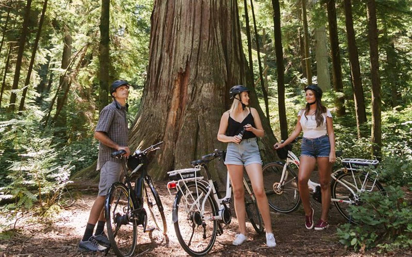 28 Best Outdoor Activities in Vancouver for Fun + Nature (2024)