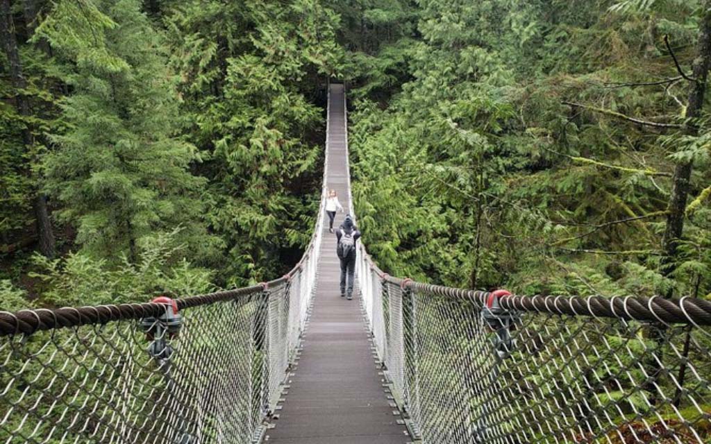 two individuals on the lynn canyon suspension bridge and park in vancouver bc canada
