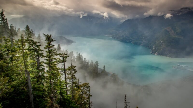 a view of howe sound from mt. habrich, one of the most popular vancouver hiking destinations