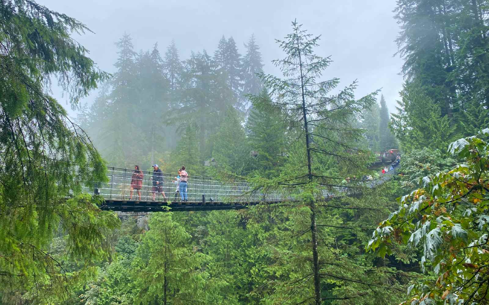 visitors crossing the capilano suspension bridge in the rain