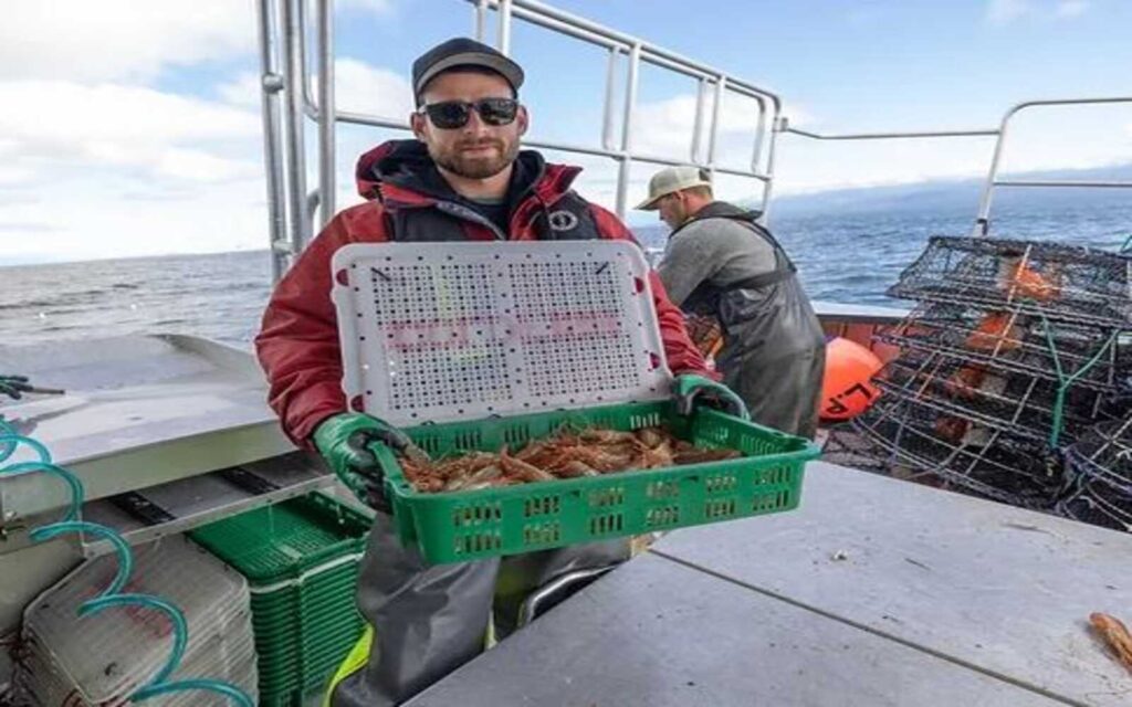 A man in orange jacket and black shades holding a green basket with bunch of catch spot prawns in the middle of ocean