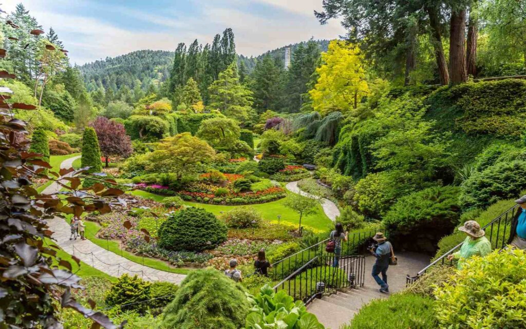 butchart gardens from vancouver full view with couple of people visiting