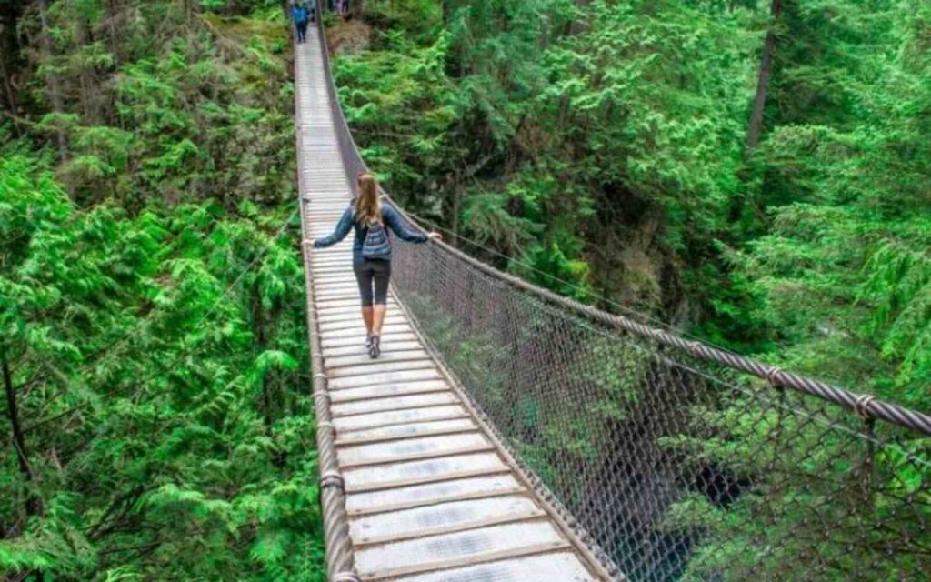 woman walking at the capilano suspension bridge while the weather is calm