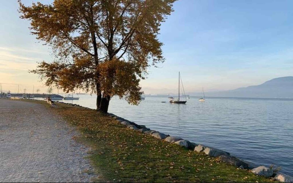 a great waterfront view in vancouver which you'll see on this bike tour