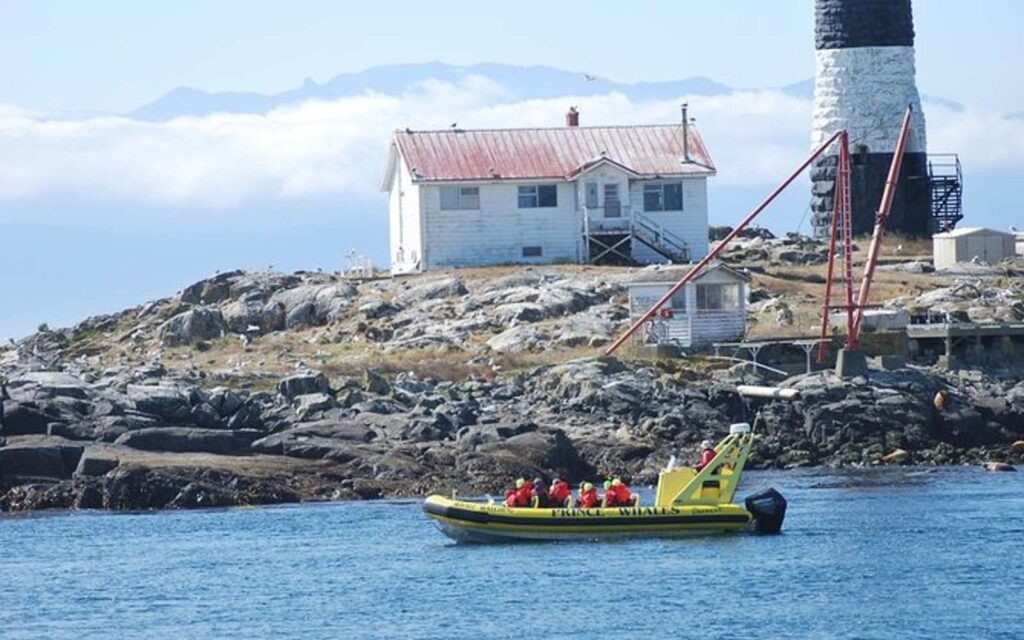 zodiac whale tour stopping in front of a lighthouse near victoria canada