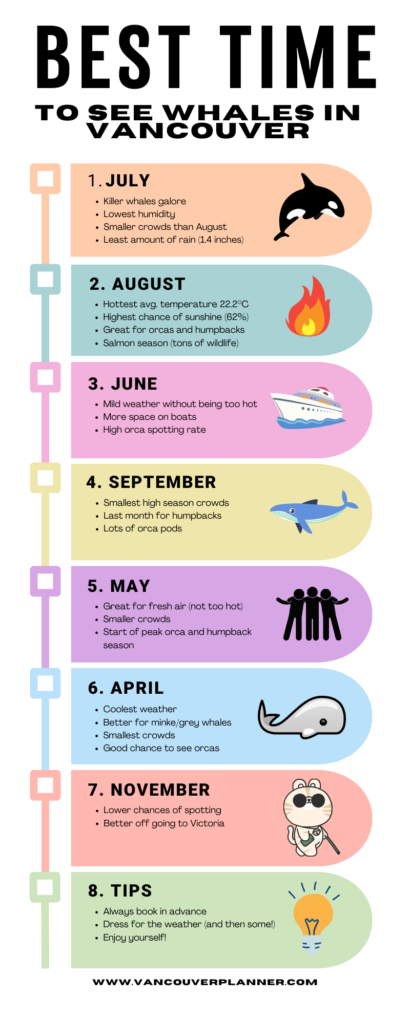 info graphic on the best time to see whales in vancouver by month