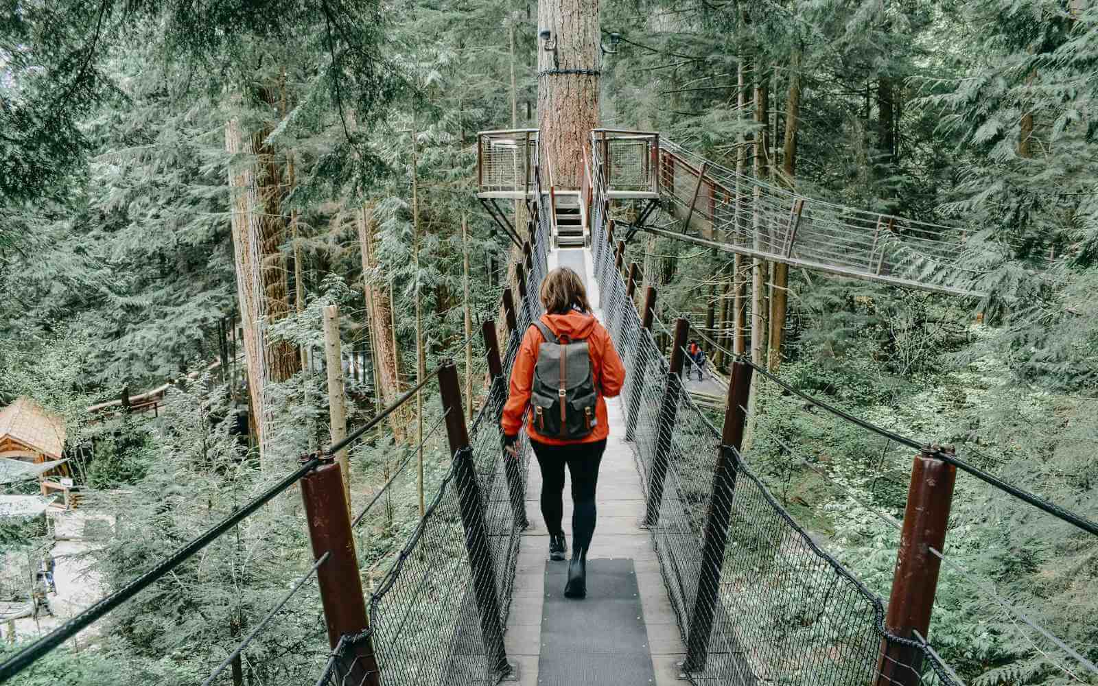 woman walking between the trees at capilano suspension bridge