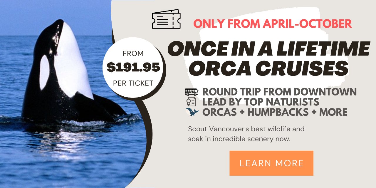 What to Do in Vancouver in August 2024 Top Events + Festivals