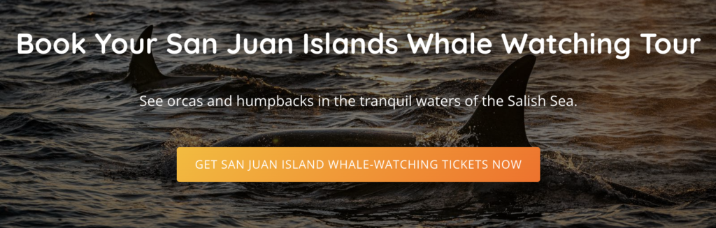A banner for San Juan Islands whale watching tours.