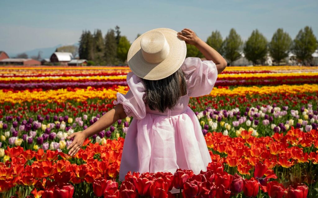 A woman marvels at the colours at the Skagit Valley Tulip Festival, near Bellingham, Washington.