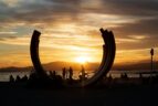 A snapshot of the whale bones at sunset beach during a Victoria Day Vancouver.