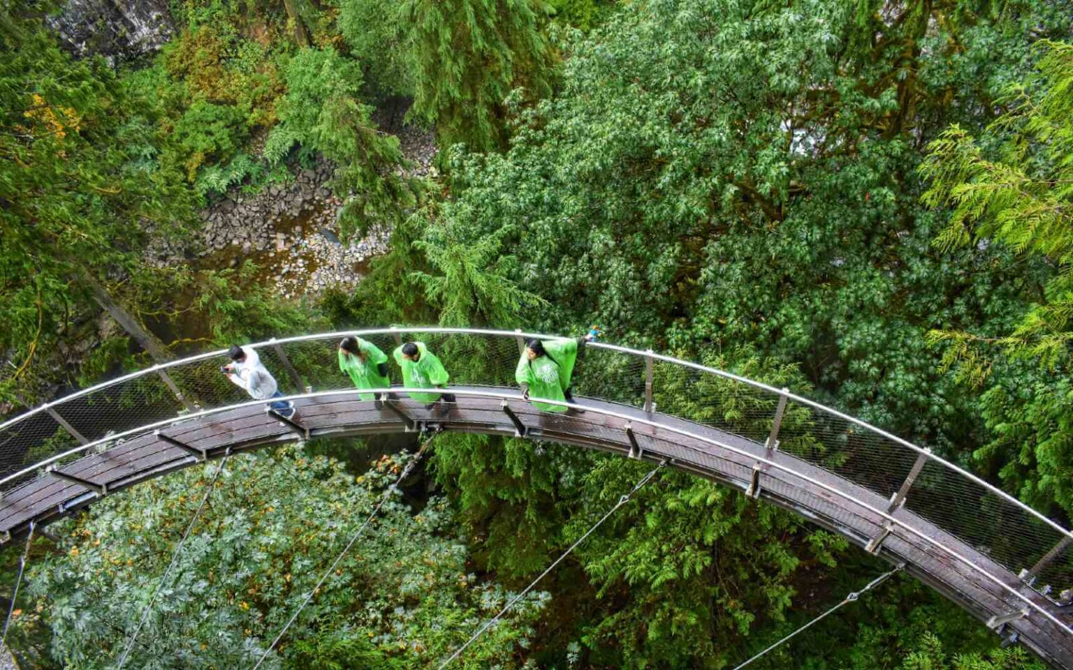 Is Capilano Suspension Bridge Worth It? Vancouver Planner