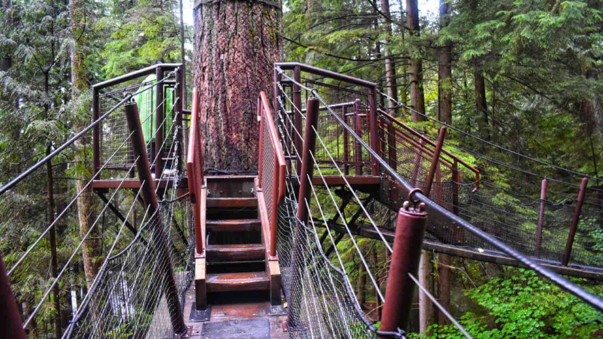 Is Capilano Suspension Bridge Worth It? Vancouver Planner