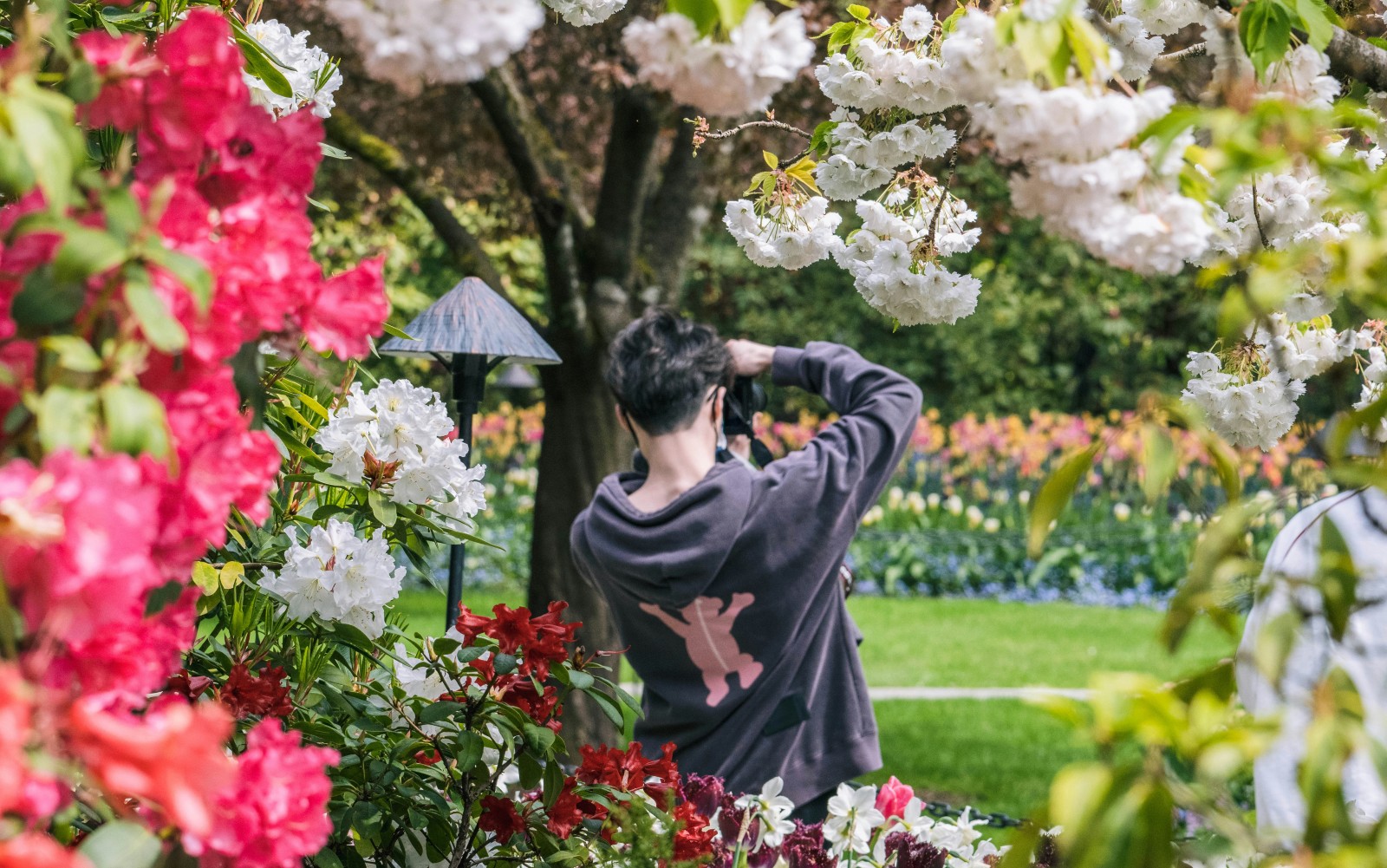 A man takes pics at Butchart Gardens after taking the Vancouver to Butchart Gardens ferry.