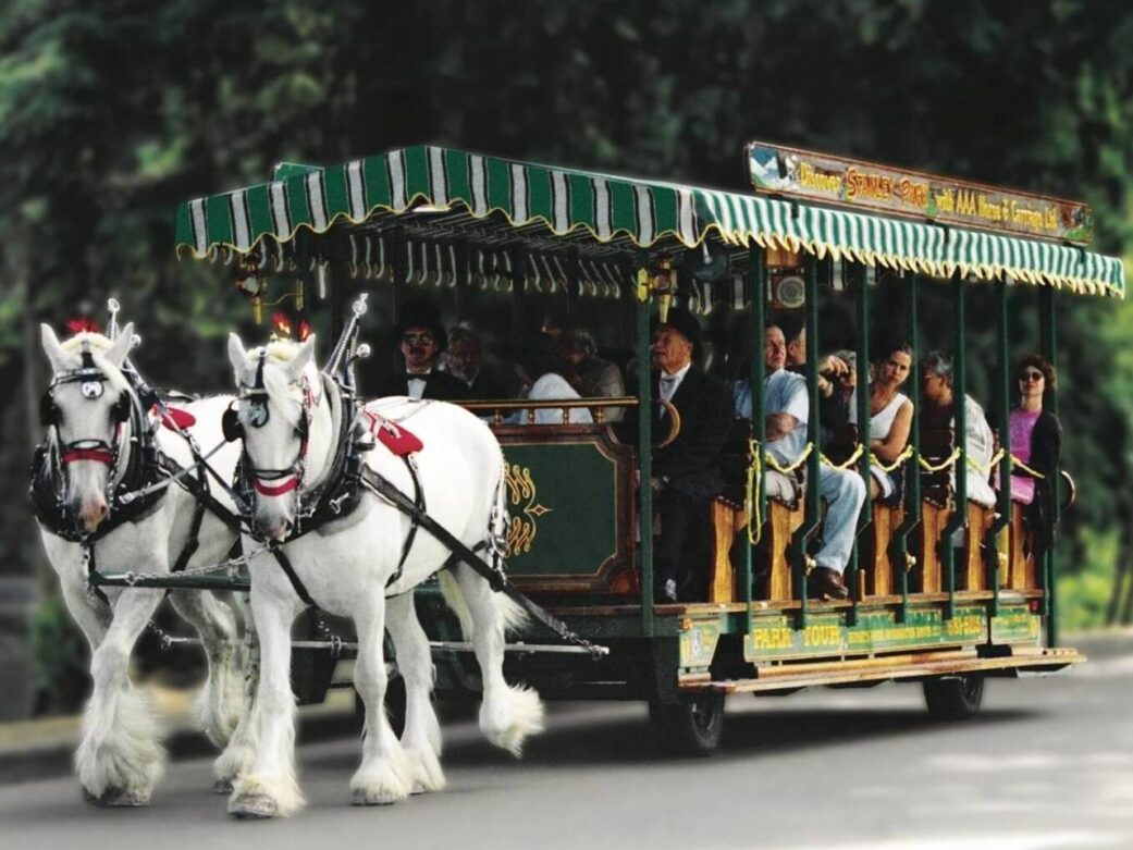 horse-drawn carriage tour with passengers riding through a tree-lined path