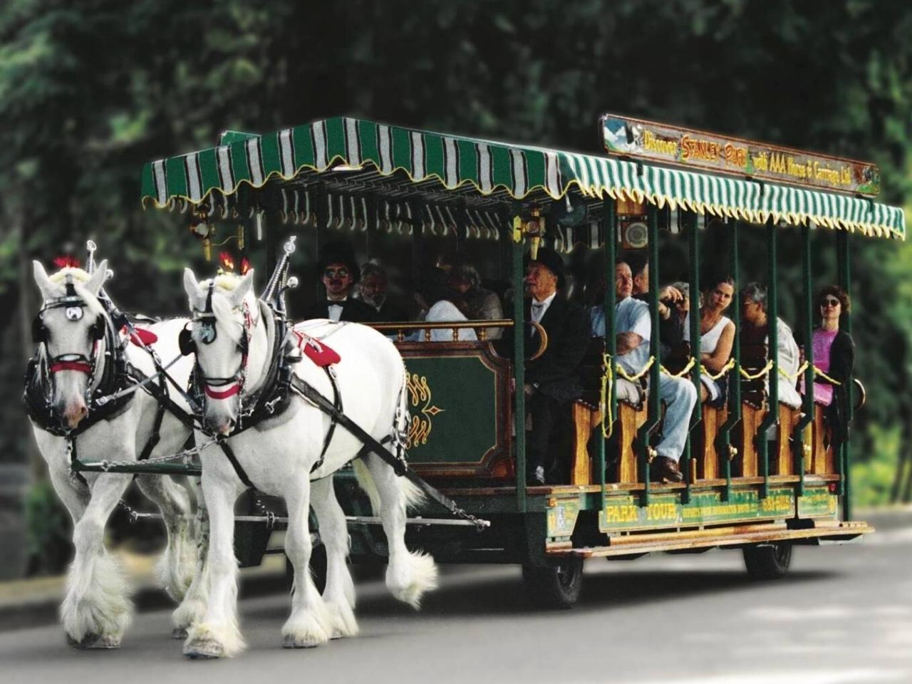 horse-drawn carriage tour with passengers riding through a tree-lined path