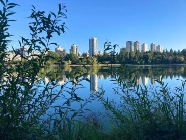 view of downtown from stanley park with clear water of the lost lagoon reflecting the city buildings