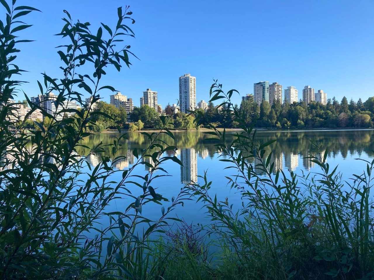 view of downtown from stanley park with clear water of the lost lagoon reflecting the city buildings
