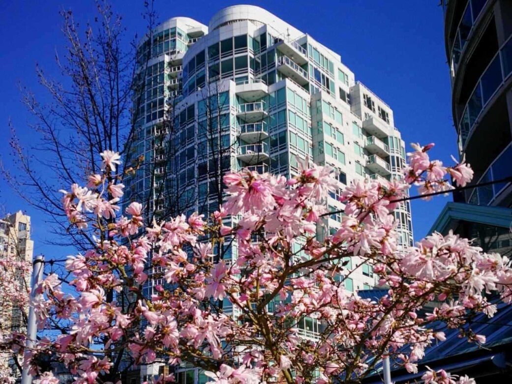 weather-in-vancouver-in-march-2026-temps-what-to-wear