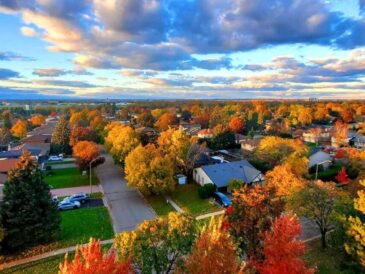 aerial view of a residential area in vancouver featuring trees with red orange and green leaves at the peak of autumn