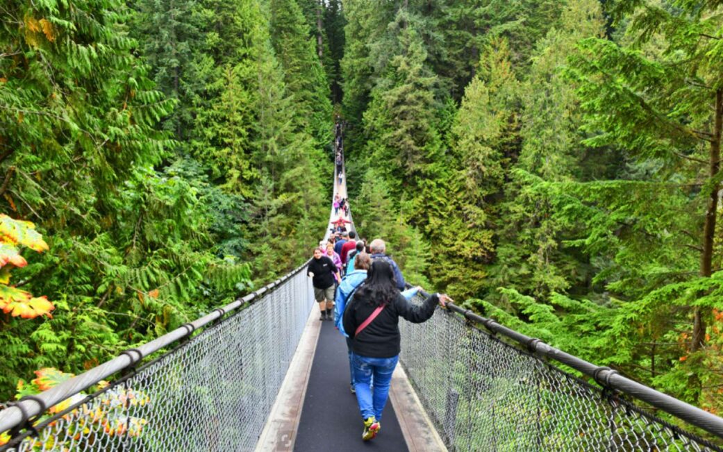 A woman admires the Capilano River after taking the Capilano Suspension Bridge free shuttle.